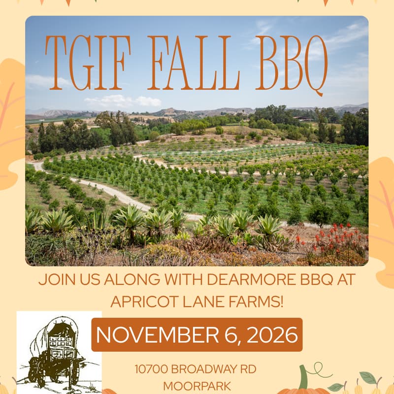 Cover Image for TGIF BBQ