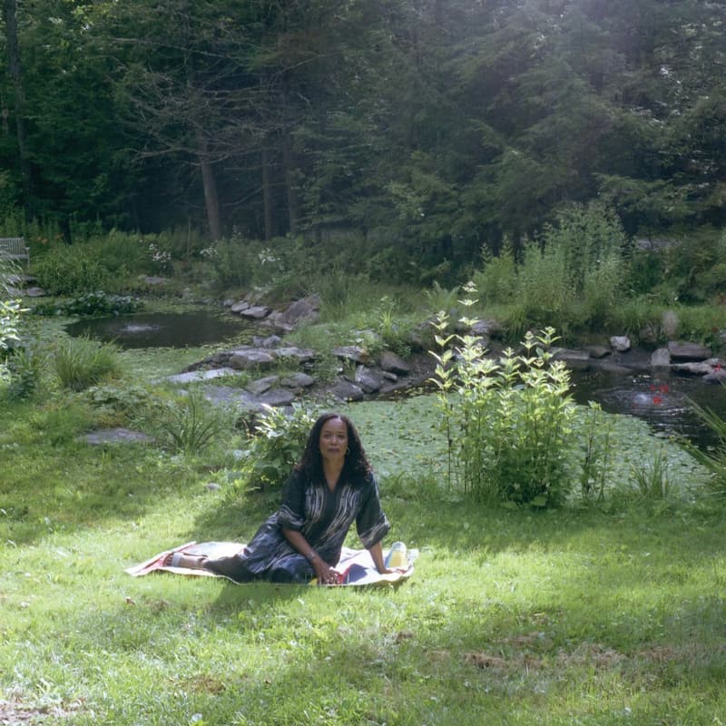 Cover Image for Wayward Lives, Beautiful Experiments by Saidiya Hartman