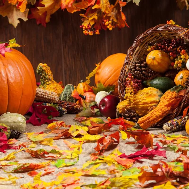Cover Image for Bay Area Canadians 2026 Canadian Thanksgiving Potluck