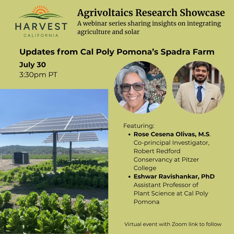 Cover Image for Agrivoltaics Research Showcase: Updates from Spadra Farm