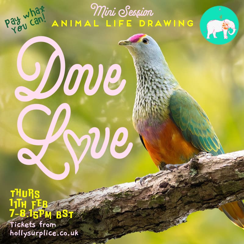 Cover Image for Dove Love - Mini Drawing Session