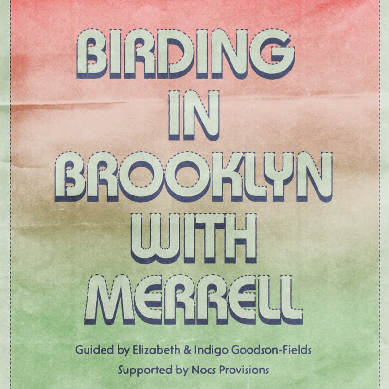 Cover Image for Birding in Brooklyn With Merrell