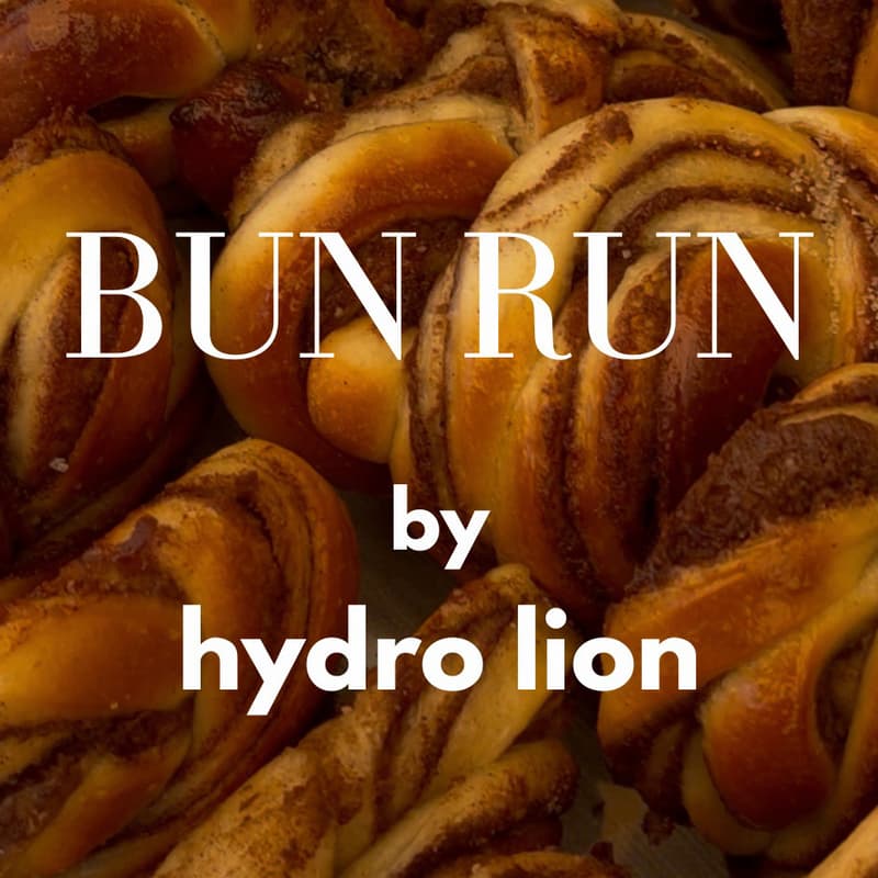 Cover Image for Munich Bun Run - by hydro lion