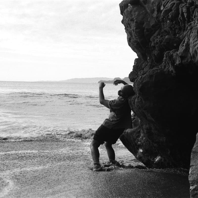 Cover Image for Ecologies in Motion