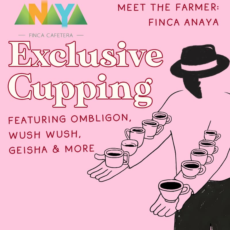 Cover Image for FINCA ANAYA x Black Hat Coffee: Exclusive Cupping Event