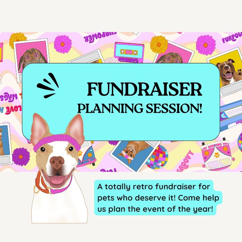 Cover Image for POP Meetup + Fundraiser Brainstorm Kickoff!