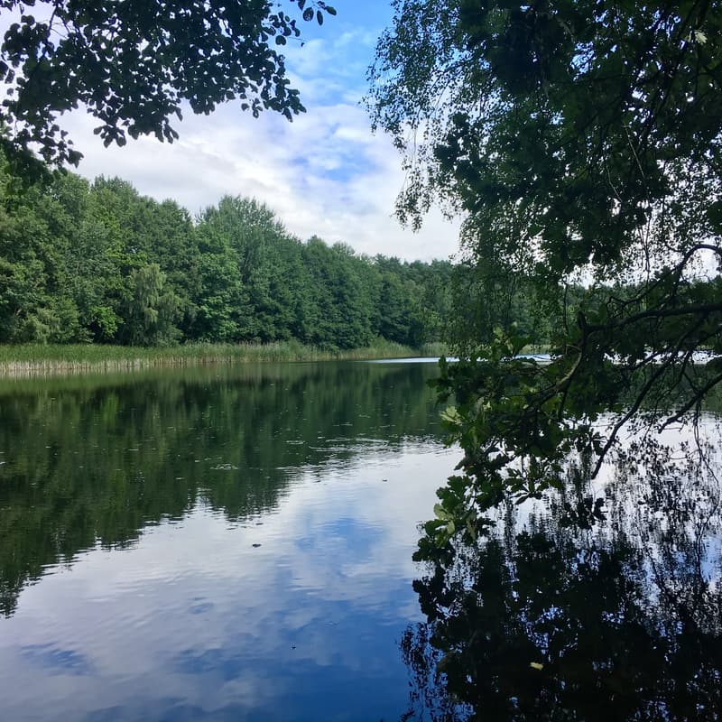 Cover Image for [19 km] Scenic hike near Angermünde☀️