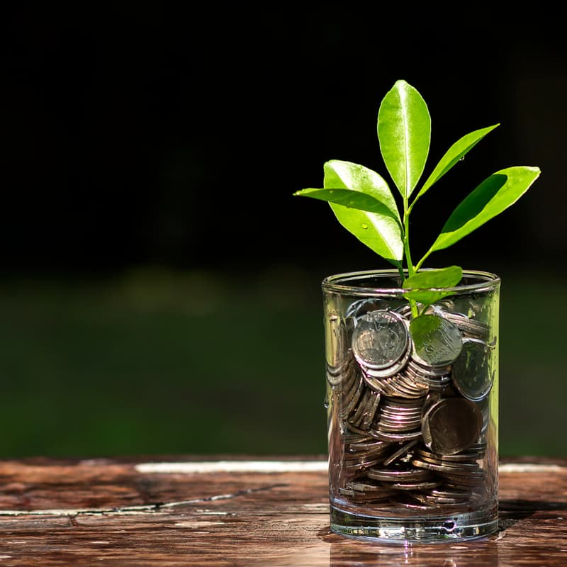 Cover Image for Fireside Chat: Investing and Ecosystems for Growth
