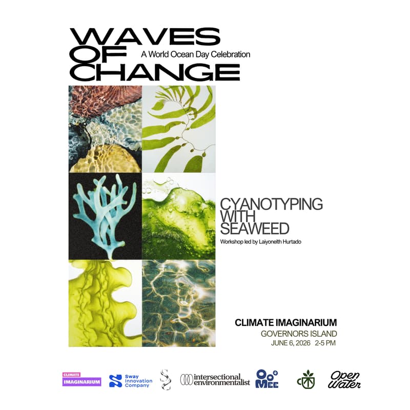 Cover Image for Waves of Change-A World Ocean Day Celebration