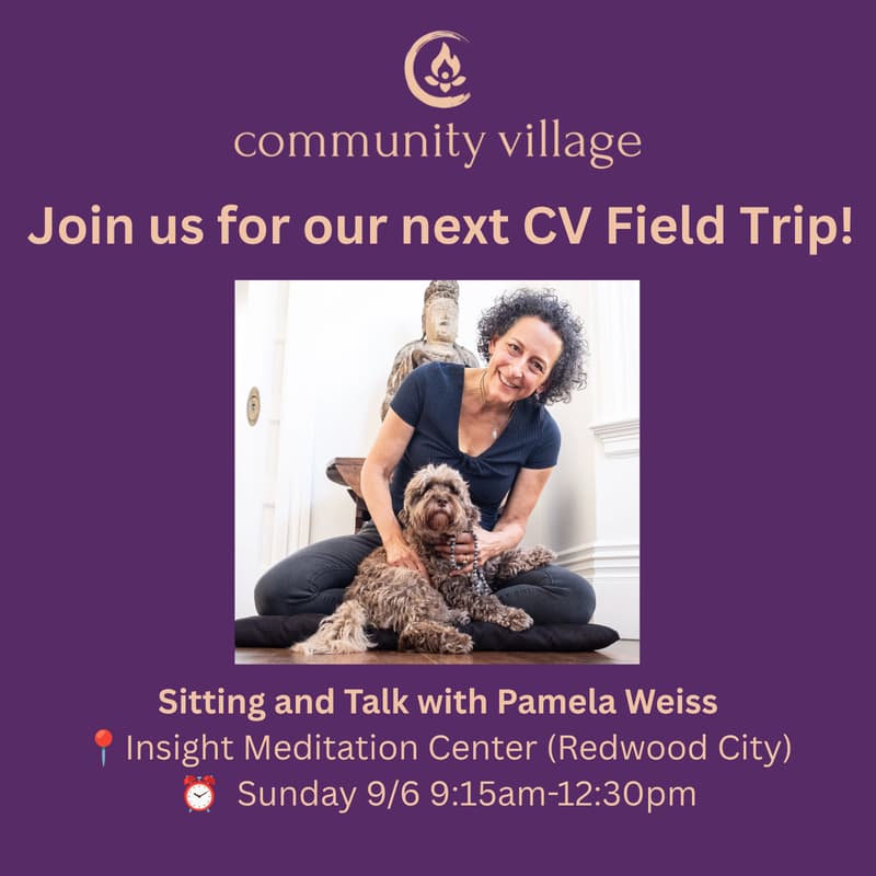 Cover Image for CV Field Trip: Pamela Weiss @ Insight Meditation Center + Lunch