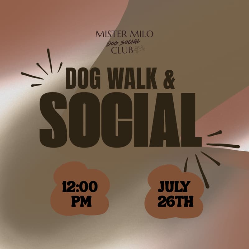 Cover Image for Dog Walk & Social