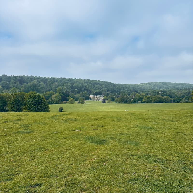 Cover Image for TBG Stanmer Park Walk & Coffee