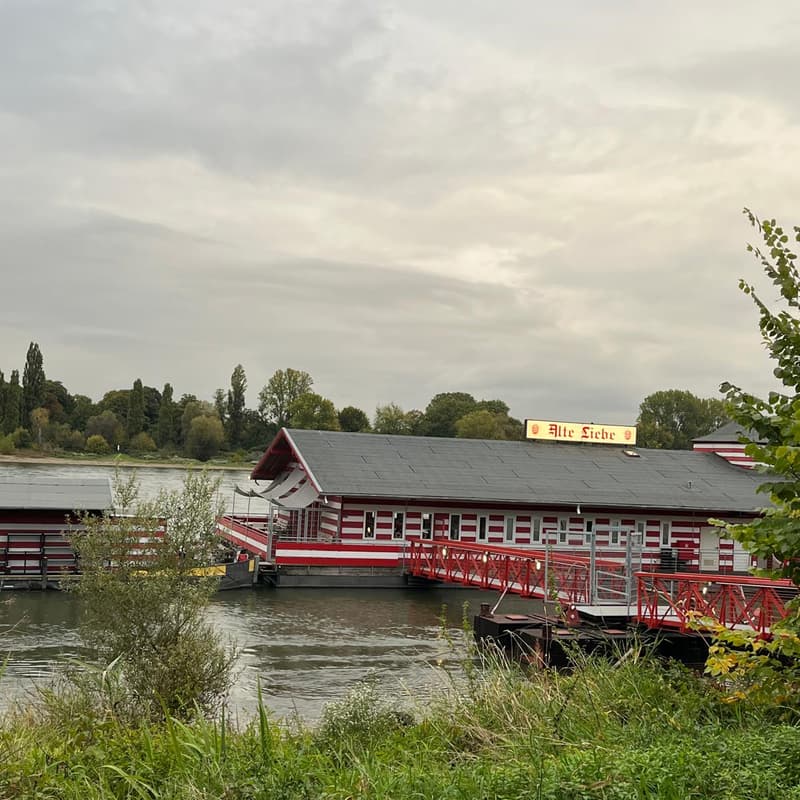 Cover Image for Members-Only | 🍂 Autumn Walk & Craft by the Rhine