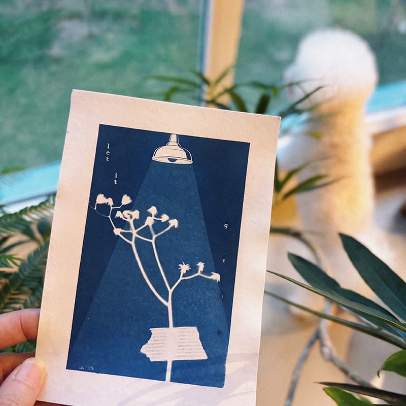 Cover Image for Dreaming in Blue - A Cyanotype Experience for Beginners