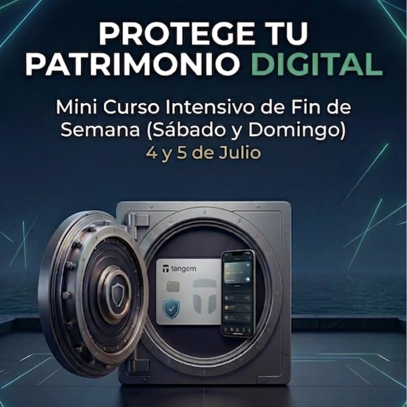 Cover Image for Protege Tu Patrimonio Digital