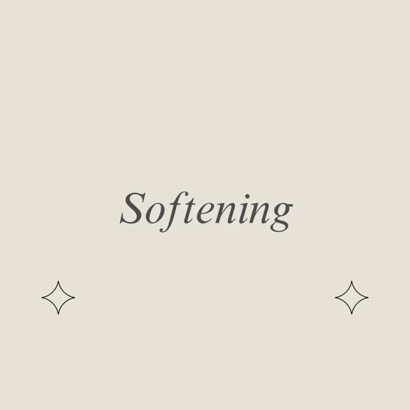 Cover Image for The Pause - Softening