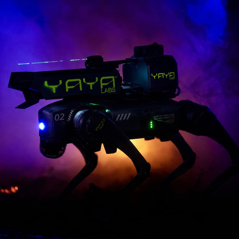 Cover Image for DOGS + DEGENS: Robot Dog Fights does Las Vegas