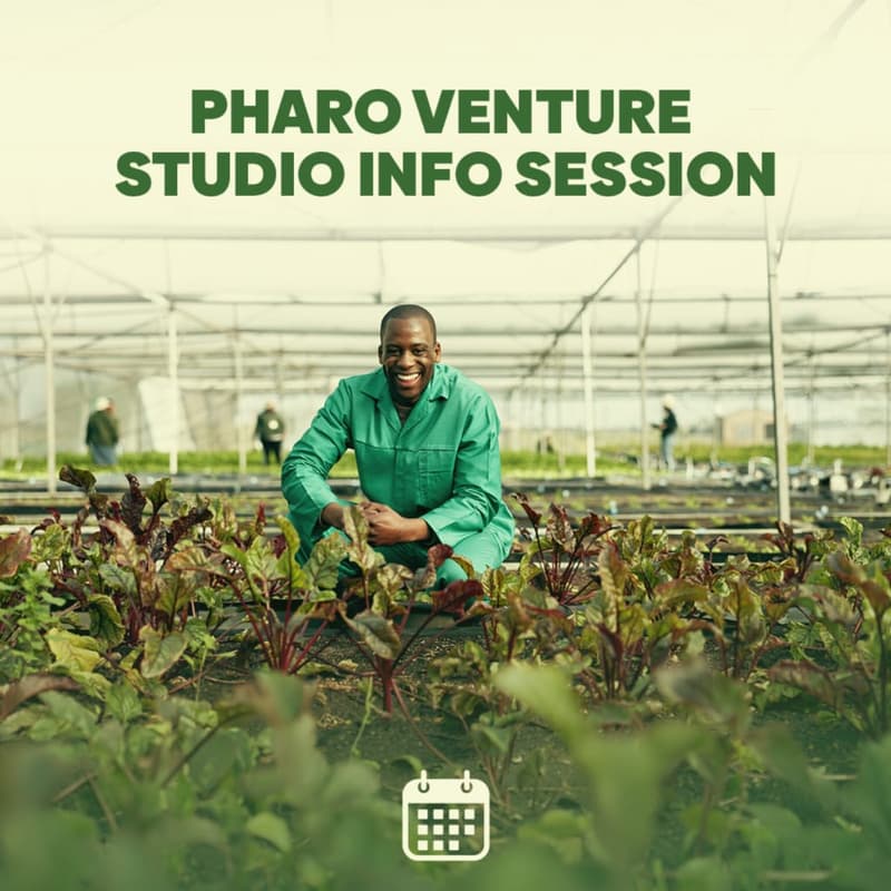 Cover Image for Pharo Venture Studio Info Session