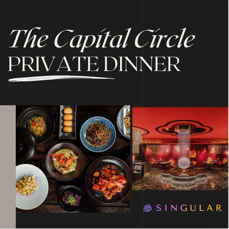 Cover Image for THE CAPITAL CIRCLE
