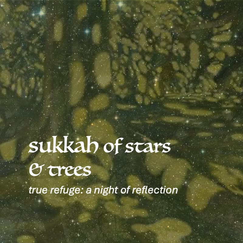 Cover Image for sukkah of stars & trees - a night of reflection