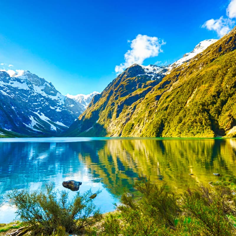 Cover Image for New Zealand Investment & Active Investor Plus Roadshow Lunch in Boulder