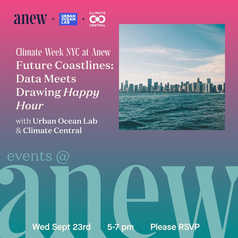 Cover Image for Future Coastlines: Data Meets Drawing Happy Hour
