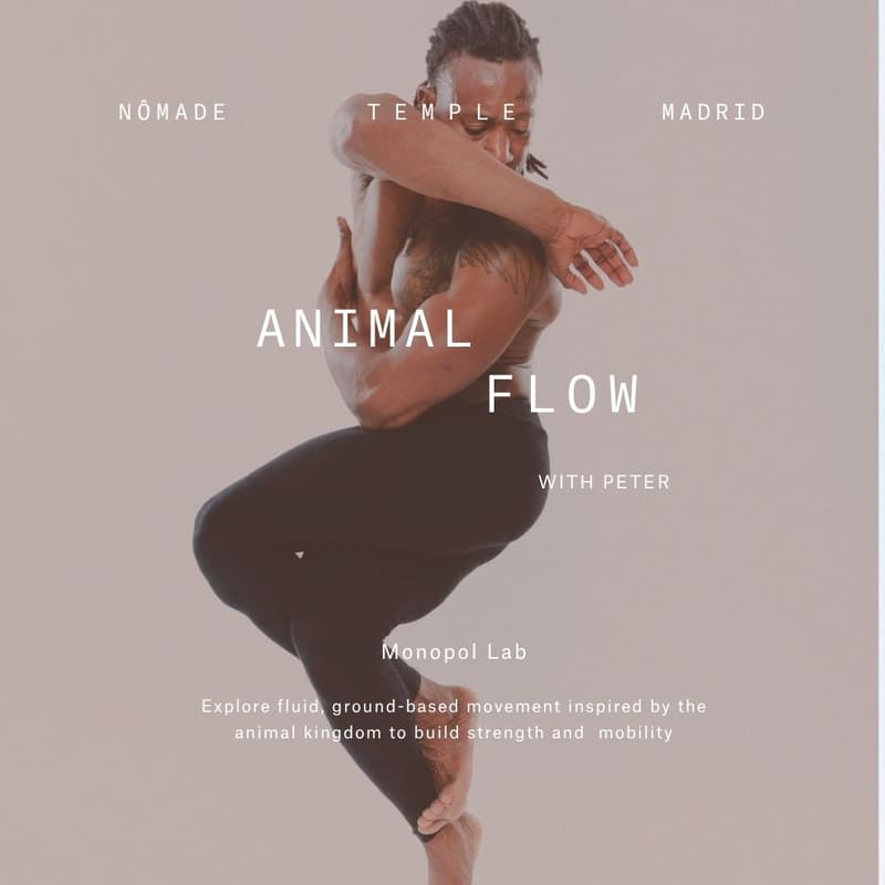 Cover Image for Animal Flow with Peter James