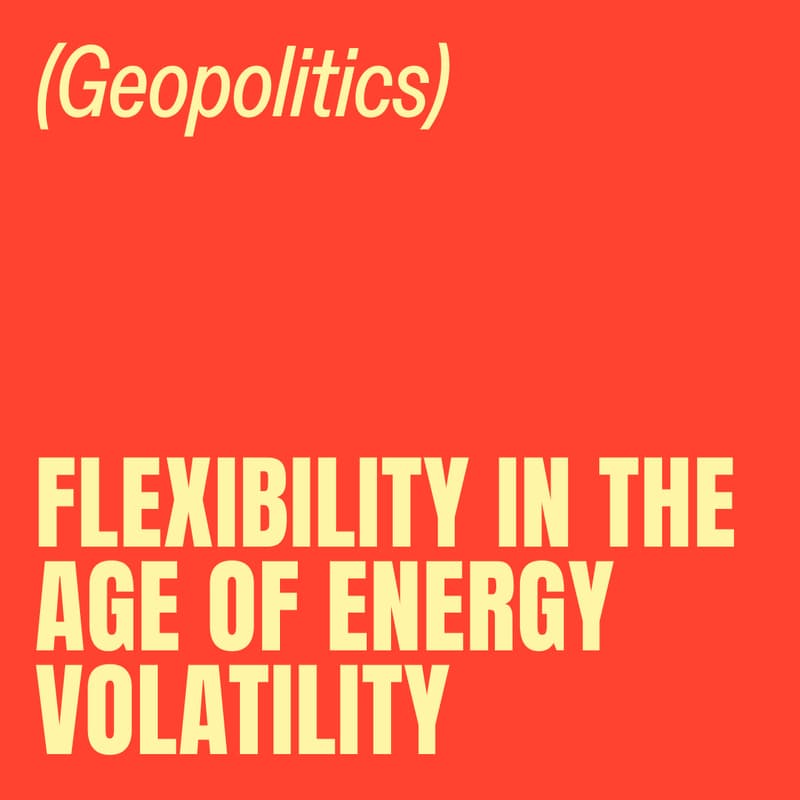 Cover Image for Flexibility in the Age of Energy Volatility