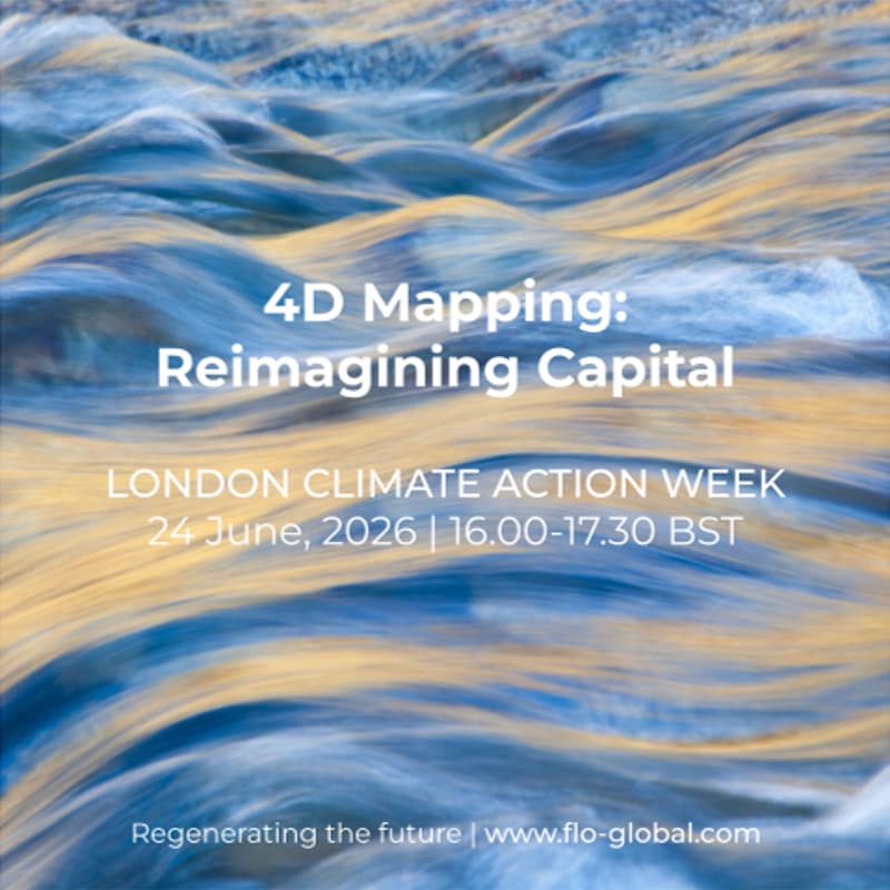 Cover Image for #LCAW2026 4D Mapping: Reimagining Capital
