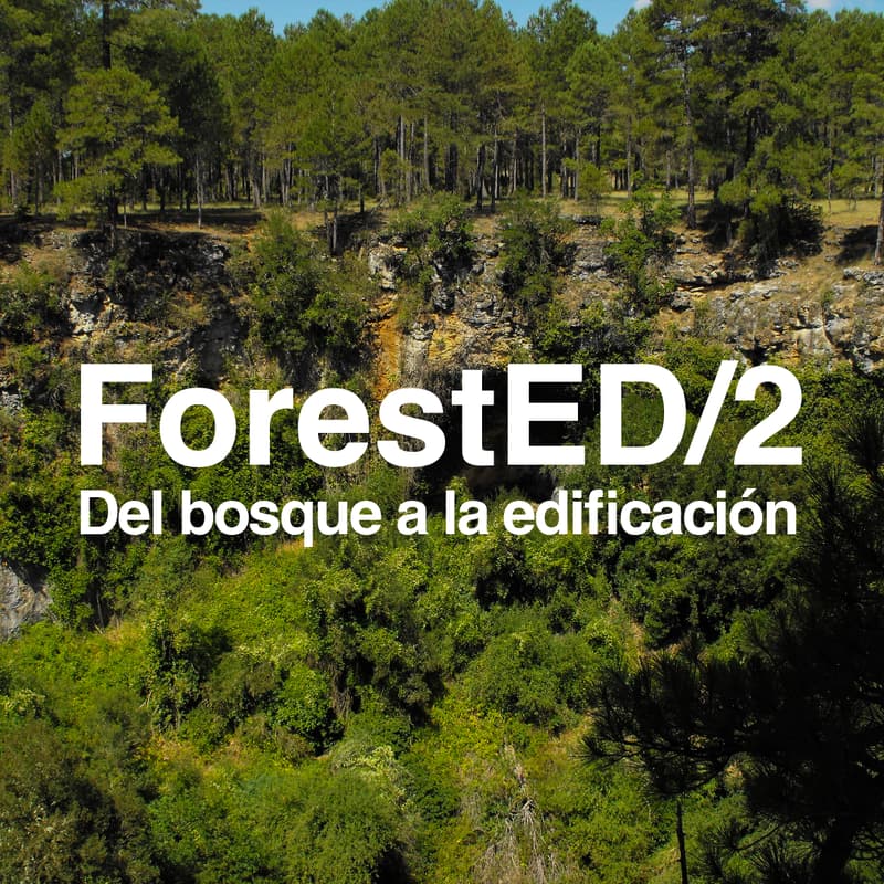 Cover Image for Jornada para el impulso de la construcción con madera