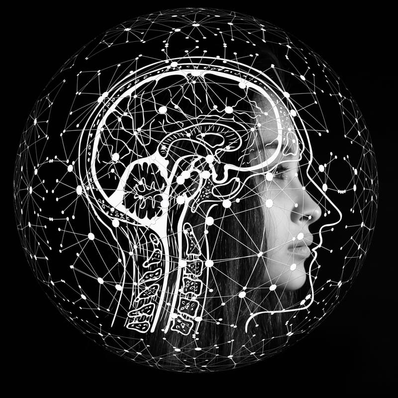 Cover Image for Whose AI Is It Anyway? Data, Sovereignty, and the Geopolitics of Intelligence