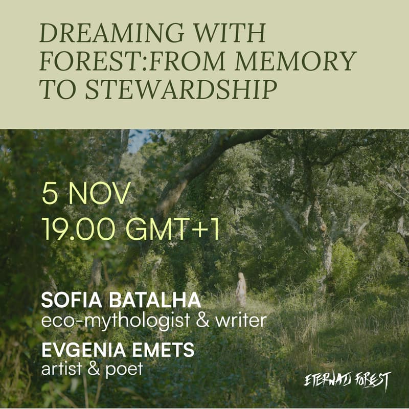 Cover Image for Dreaming with Forest: from memory to stewardship