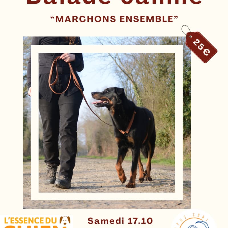 Cover Image for Balade canine "Marchons ensemble"
