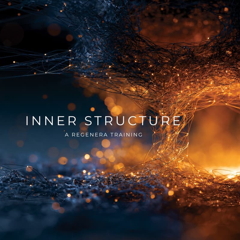 Cover Image for Inner Structure: Level 1