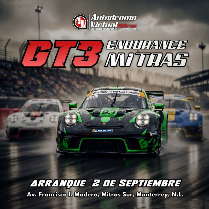 Cover Image for GT3 Endurance Mitras