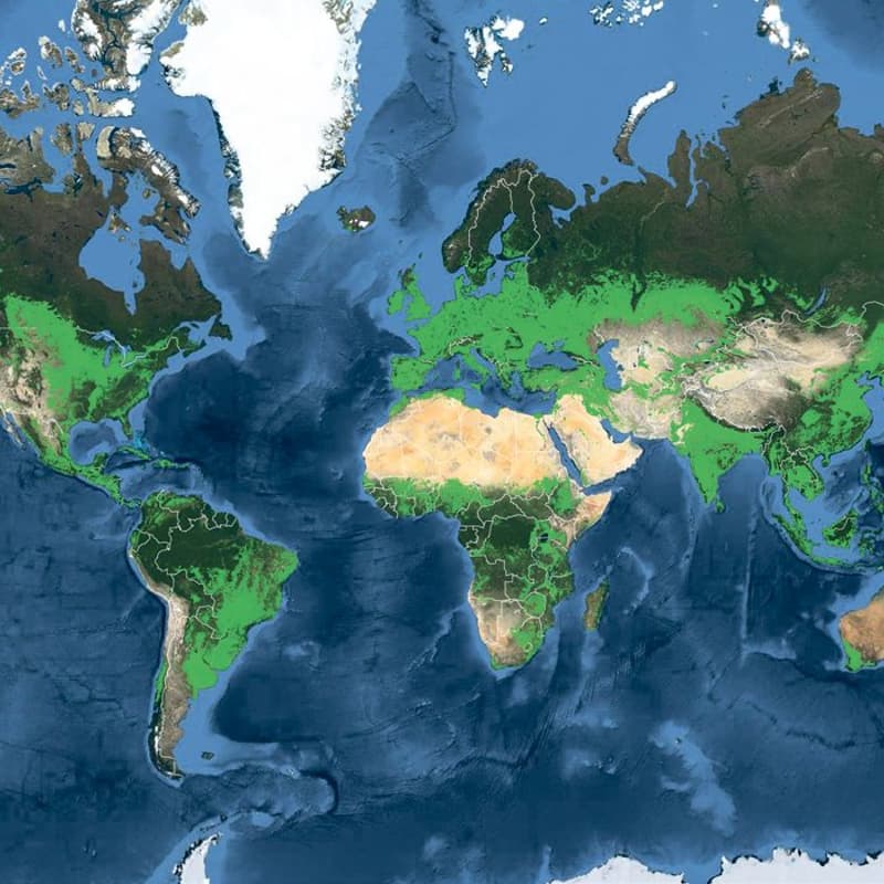 Cover Image for How Leading Organizations Are Approaching Carbon Removal in 2026