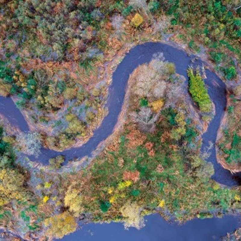 Cover Image for Intro to Ecohydrology
