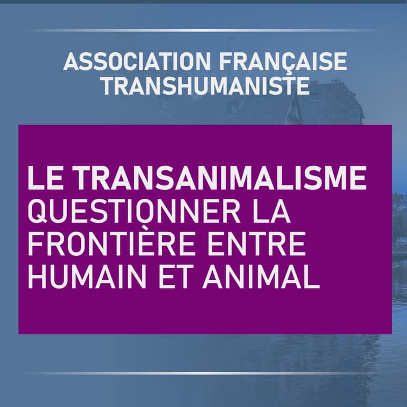 Cover Image for Le transanimalisme
