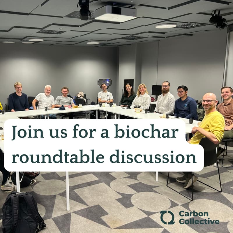 Cover Image for The Future of Biochar