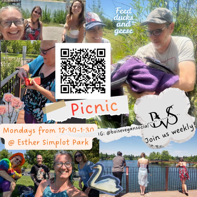 Cover Image for Picnic in the Park & Feed Ducks & Geese (Weekly!)