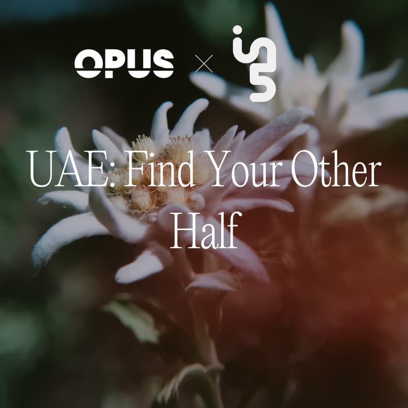 Cover Image for UAE: Find Your Other Half