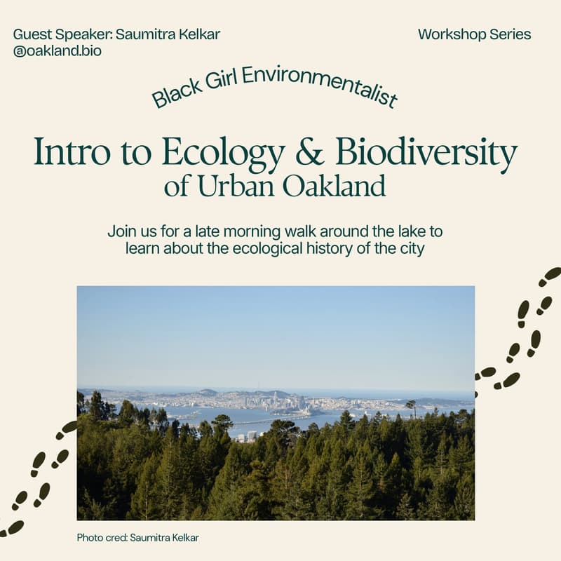 Cover Image for Intro to Ecology & Biodiversity of Urban Oakland