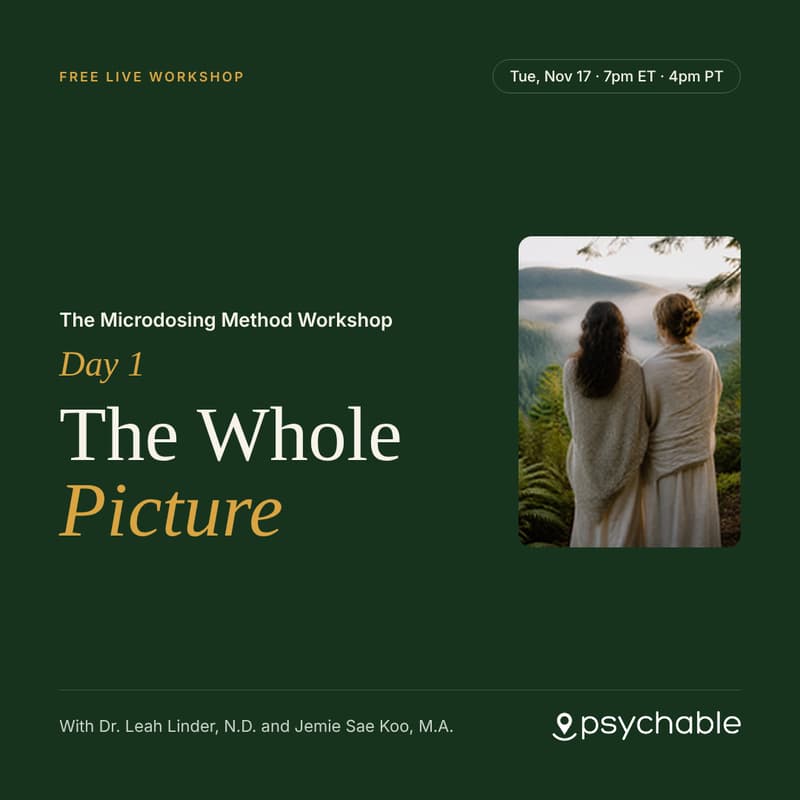 Cover Image for The Microdosing Method Workshop, Day 1: The Whole Picture