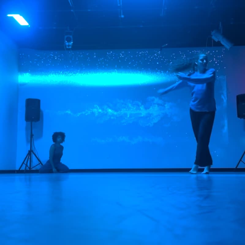 Cover Image for MIGRATION PATTERNS on Governors Island: music & dance with interactive motion sensor technology