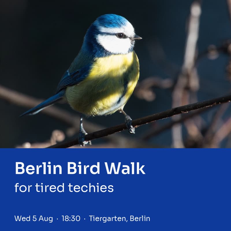Cover Image for Berlin Bird Walk for tired techies