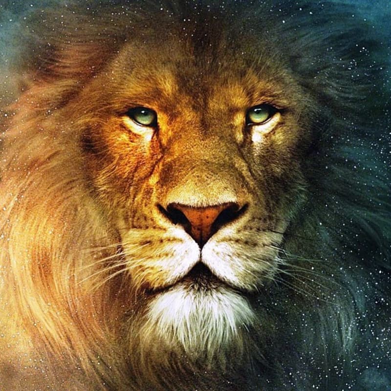 Cover Image for The Gatekeeper: A Men's Group