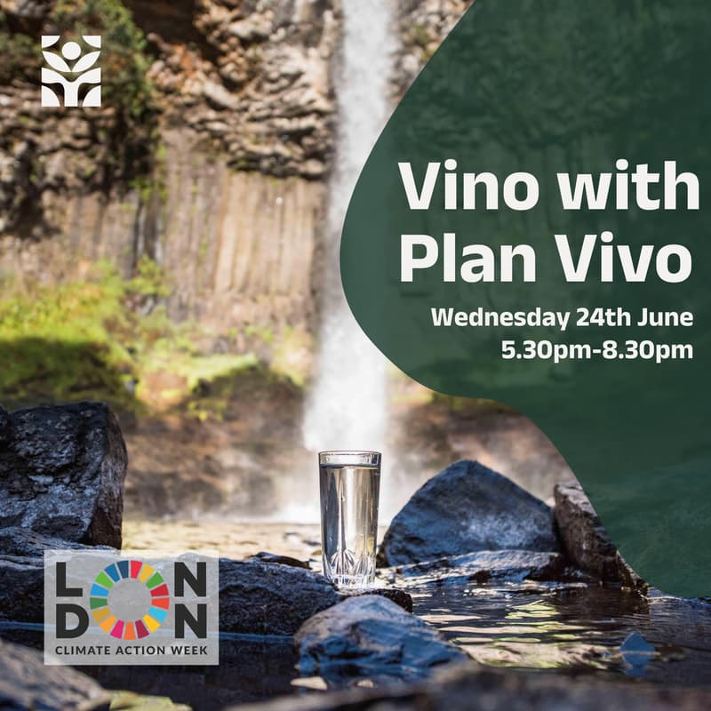 Cover Image for Vino with Plan Vivo