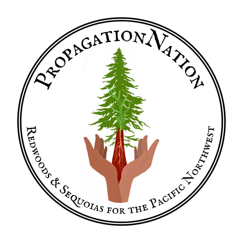 Cover Image for Tall Tree Tour in the Arboretum