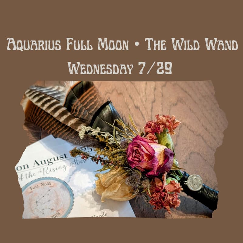 Cover Image for Aquarius Full Moon • The Wild Wand • Private Wyrd Scout Activity