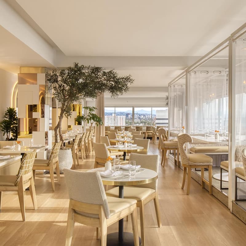 Cover Image for TikTok Shop Experts: A Roundtable Dinner with OverCast Digital and Amazon MCF